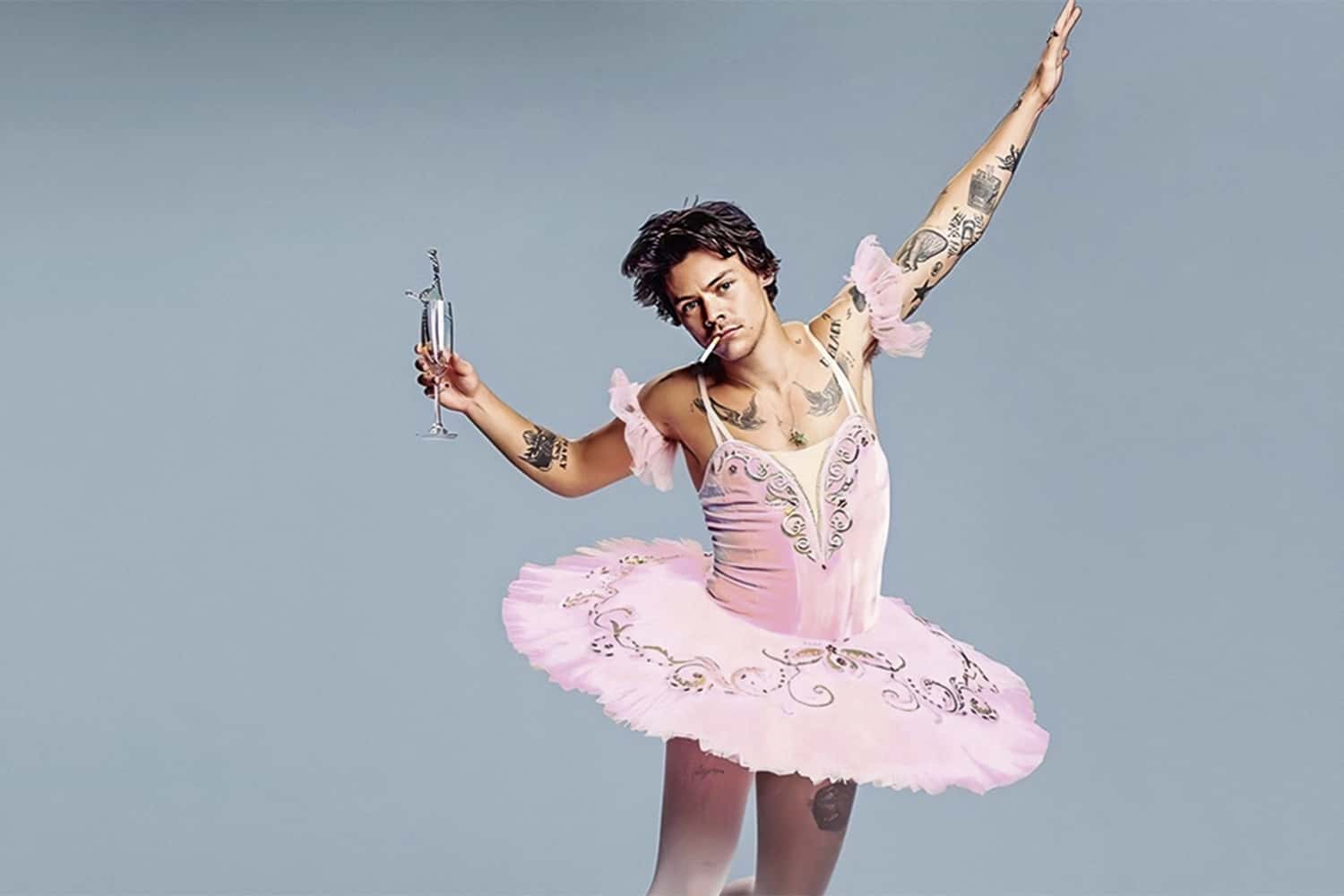 Harry Styles dá ajudinha a fã para sair do armário