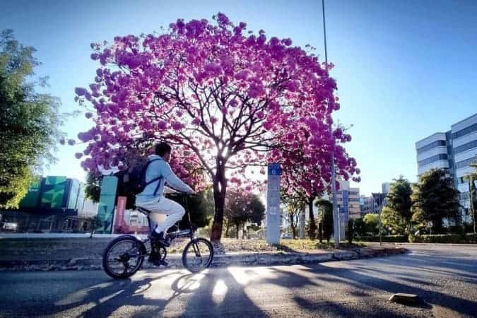 Inmet emite alerta amarelo para baixa umidade no DF; frio permanece