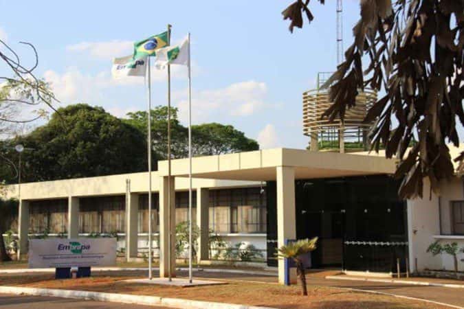 Embrapa lança concurso com 1.027 vagas; salários são de até R$12,8 mil