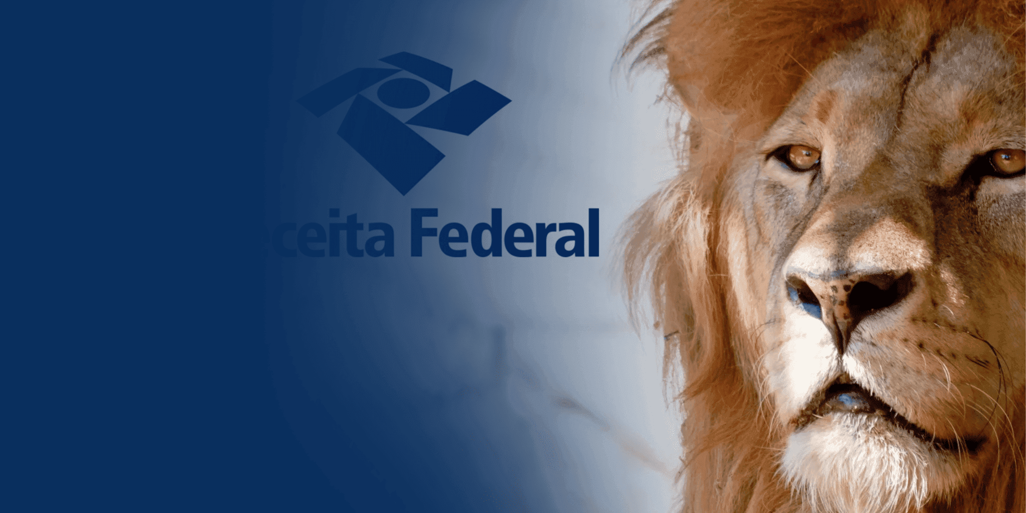 IR 2025: Receita Federal abre consulta do 2º lote nesta segunda-feira (23)