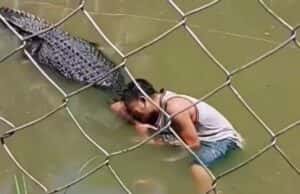 Homem fica ferido ao se aproximar de crocodilo para tirar selfie