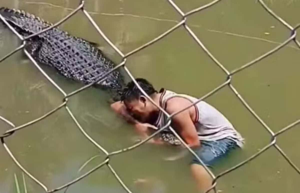 Homem fica ferido ao se aproximar de crocodilo para tirar selfie