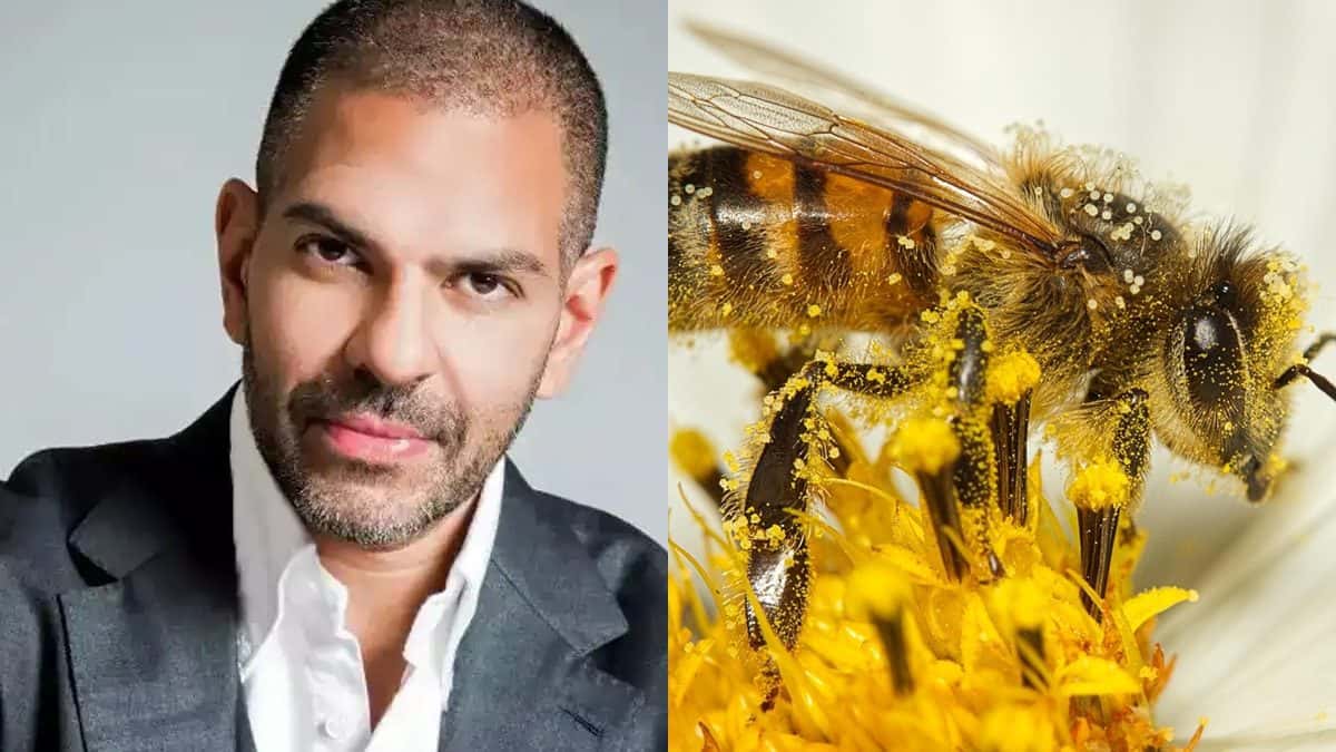 Bilionário passa mal e morre após engolir abelha