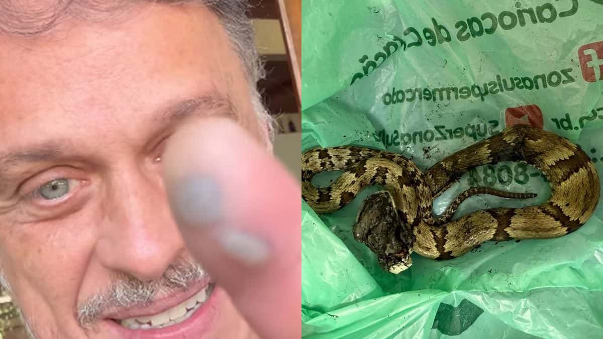 Guilherme Fontes é picado por cobra em casa: ‘Doeu tanto’