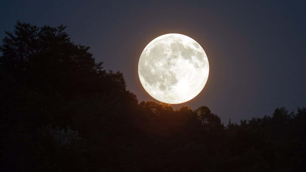 O que é a ‘Lua do Veado’? Onde será possível ver o fenômeno nesta quinta
