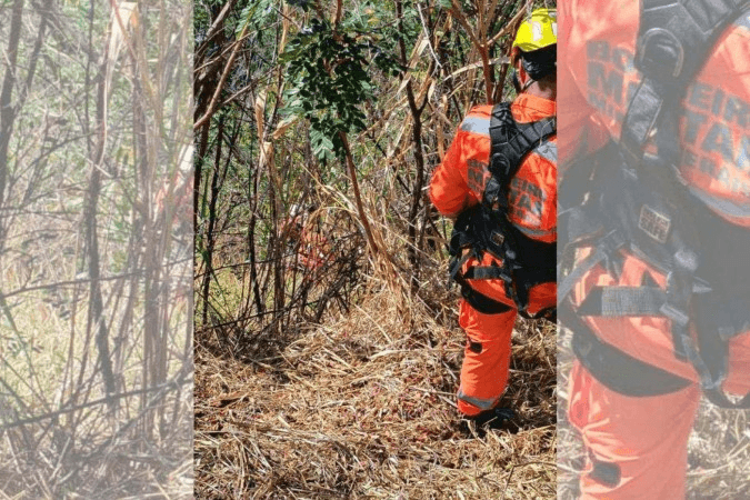 Homem tenta resgatar cachorro que caiu em barranco e fica preso junto