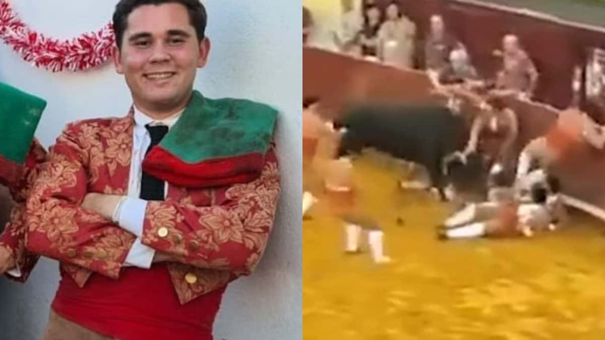 Toureiro morre ao ser chifrado e jogado por touro contra barreira de proteção