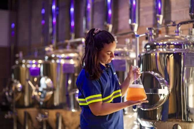 Ambev oferta 6 mil bolsas de estudo cervejeiro para mulheres;  inscrições vão até este domingo (22)