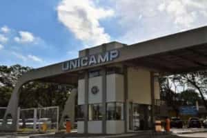 Ao menos 24 tipos de vírus foram transportados em furto na Unicamp