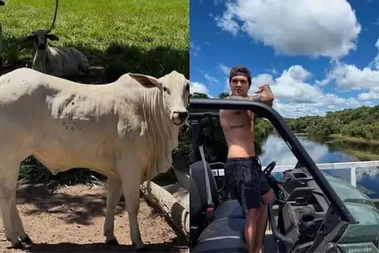 Fazenda milionária de Luan Santana recebe nome curioso e chama atenção
