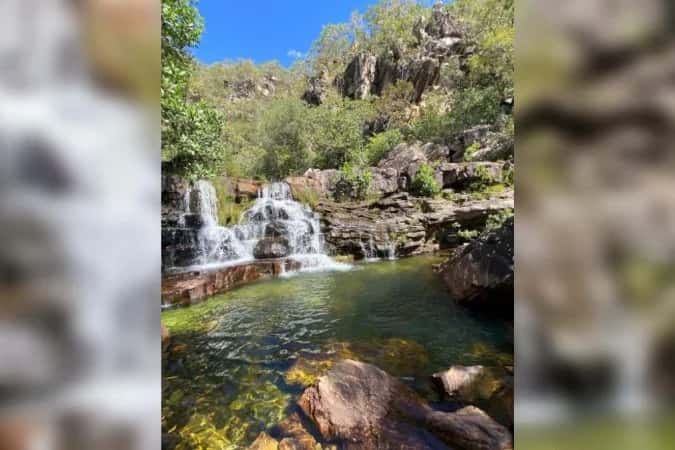 Santuário suspende visitação após ataque de onça-parda a criança de 8 anos