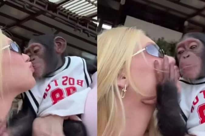 Virginia Fonseca beija macaco durante passeio em Dubai e atitude gera polêmica