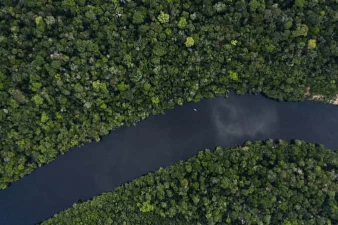 Desmatamento na Amazônia registra maior queda percentual já observada para maio
