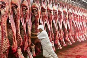 União Europeia fecha mercado para carnes brasileiras