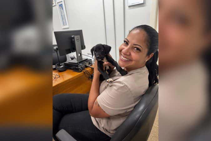 Filhote resgatado de abuso sexual é adotado