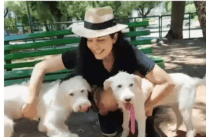 Letícia Sabatella celebra: “Reencontro dos irmãos está cada vez mais perto”