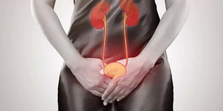 Infecção urinária: como prevenir recorrências e proteger os rins