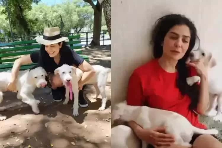 Letícia Sabatella desabafa após veterinária ser acusada de crime com cães