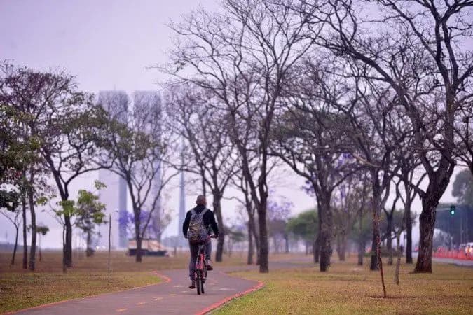 Frio: Inverno começa domingo, com sol no DF e "friaca" pelo Brasil