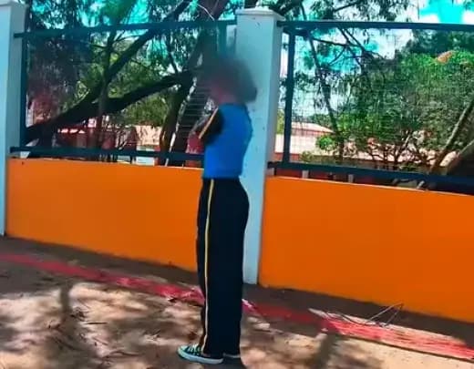 Garota de 12 anos é atacada por abelhas em BH e é levada para CTI
