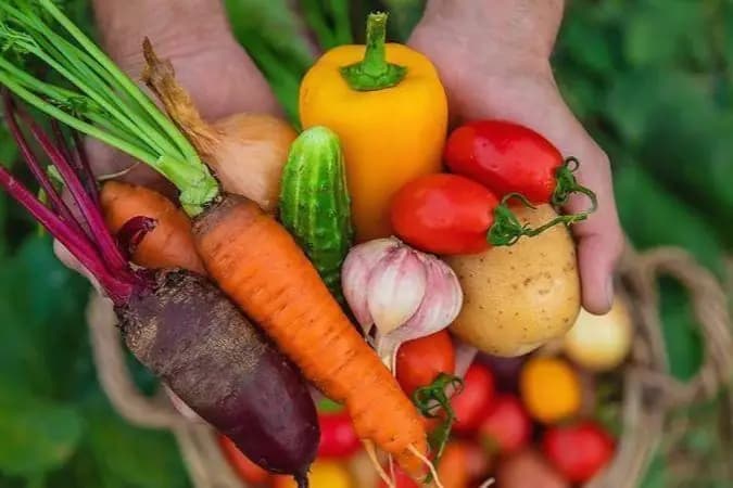 O que devemos comer para ter a pele mais jovem