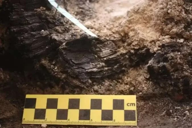 Arqueólogos descobrem vigas de madeira do Primeiro Templo de Jerusalém