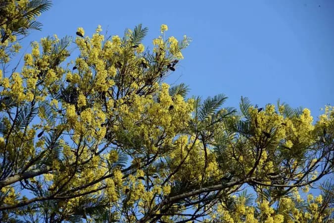 Equinócio de primavera: entenda como ocorre o fenômeno desta terça (22)