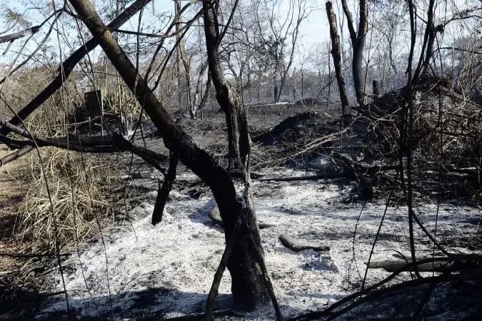 Fumaça de incêndio: como proteger a saúde respiratória no clima seco
