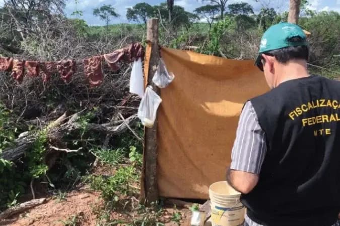 Operação Resgate VI liberta quase 500 pessoas do trabalho escravo