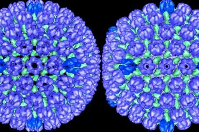Vacina que combate vírus da catapora pode proteger contra doença de Alzheimer