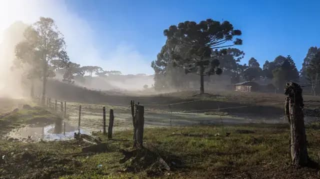 Primavera começa nesta terça: o que esperar da estação com o El Niño no Brasil