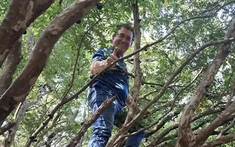 Amado Batista, aos 75, fatura milhões no agro e soma fortuna bilionária