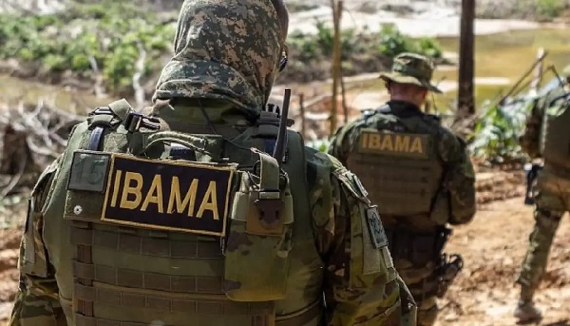 Queimadas aumentam pressão por reforço no Ibama e no ICMBio