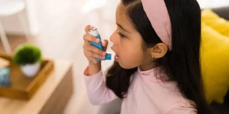 Primavera 2026 será mais seca e pode agravar alergias respiratórias
