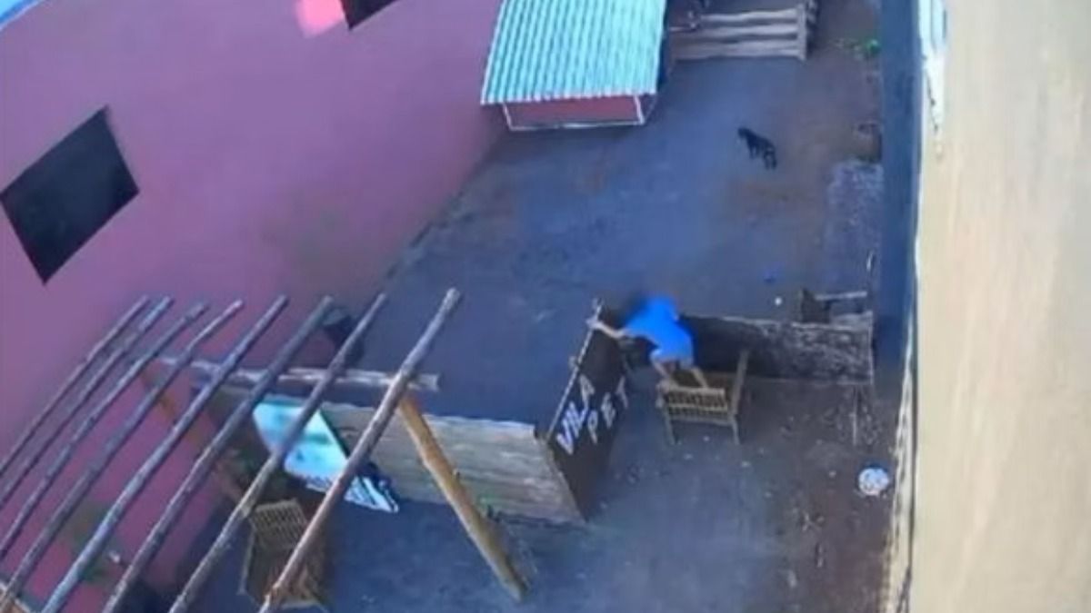 Criança que matou animais em fazendinha já havia visitado o local antes