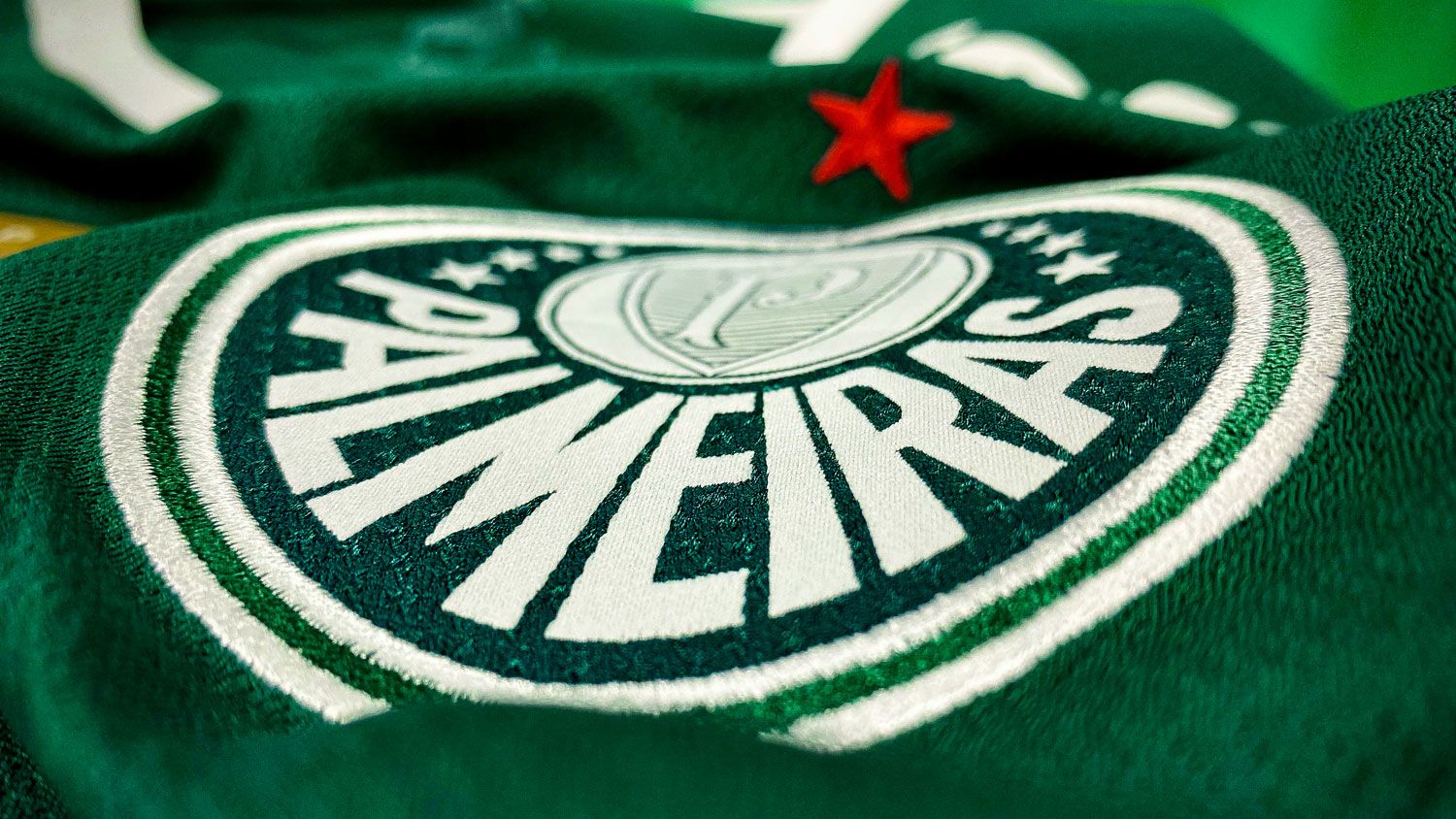 Torcida organizada do Palmeiras será investigada como facção