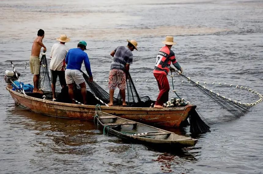 TCU encontra R$ 3 bi em fraudes no seguro pago a pescadores