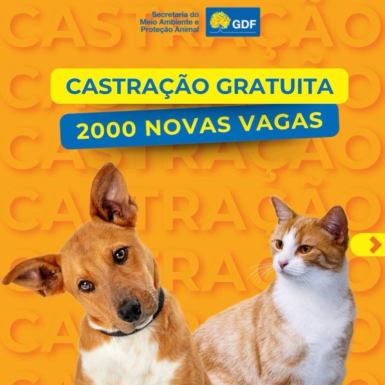 Campanha de castração gratuita oferece 2 mil vagas para cães e gatos