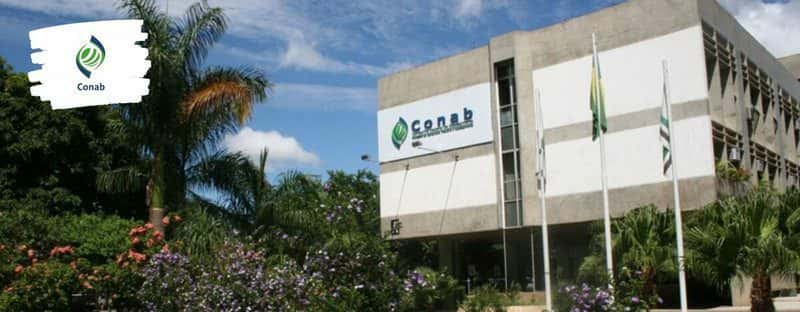 Conab: Concurso tem mais de 400 vagas em todo o Brasil
