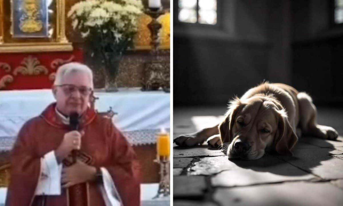 Padre critica presença de cães na igreja durante missa e divide a web