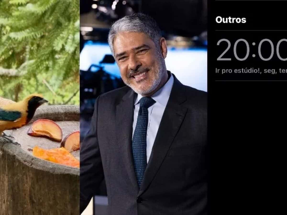 ‘Vida mais suave’: como foram os primeiros dias de Bonner fora do JN