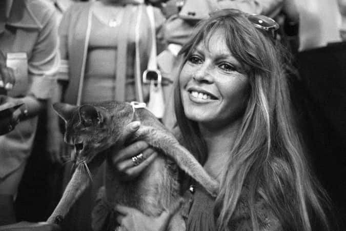 Brigitte Bardot abandonou cinema para cuidar de animais