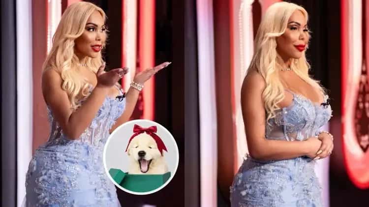 Influencer devolve cachorro e rasga o verbo sobre presente polêmico