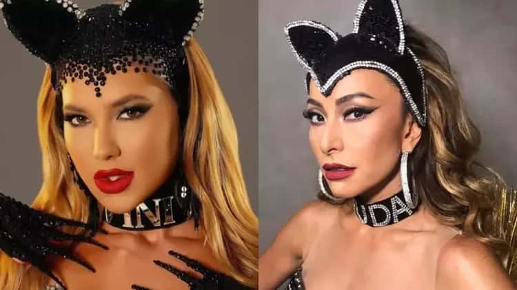 Além de Virginia: famosas que já usaram coleira com nome de homem