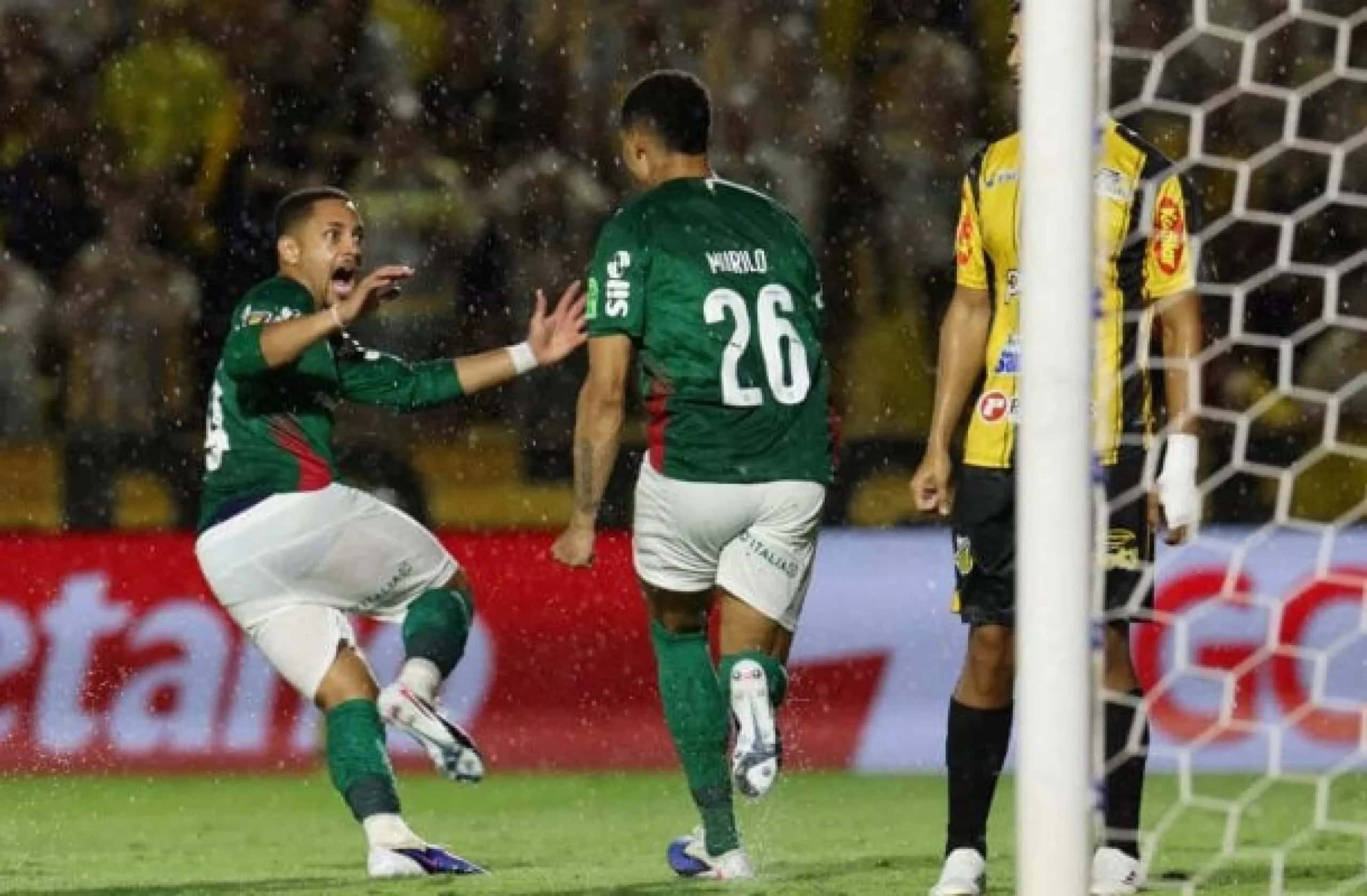 Palmeiras vence o Novorizontino por 2 x 1 e conquista o Paulistão