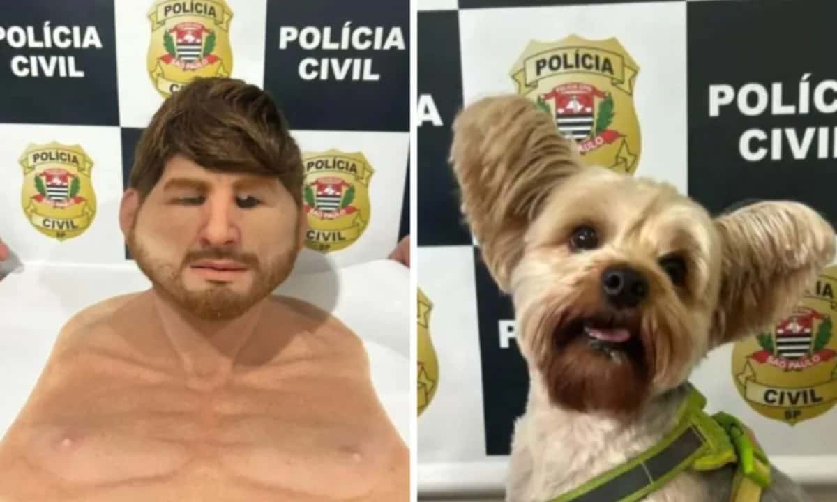 Homem usa máscara realista para furtar cão de ex-namorada em pet shop