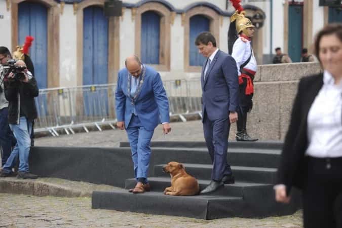 Cachorro caramelo rouba a cena em cerimônia com governadores