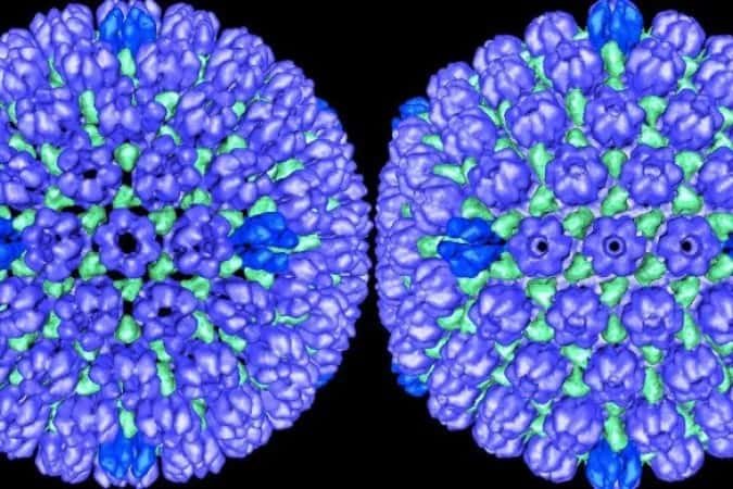Vacina que combate vírus da catapora pode proteger contra doença de Alzheimer