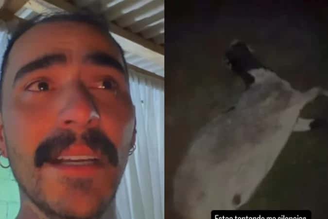 Influenciador que relatou OVNI no Paraná denuncia morte de cabra
