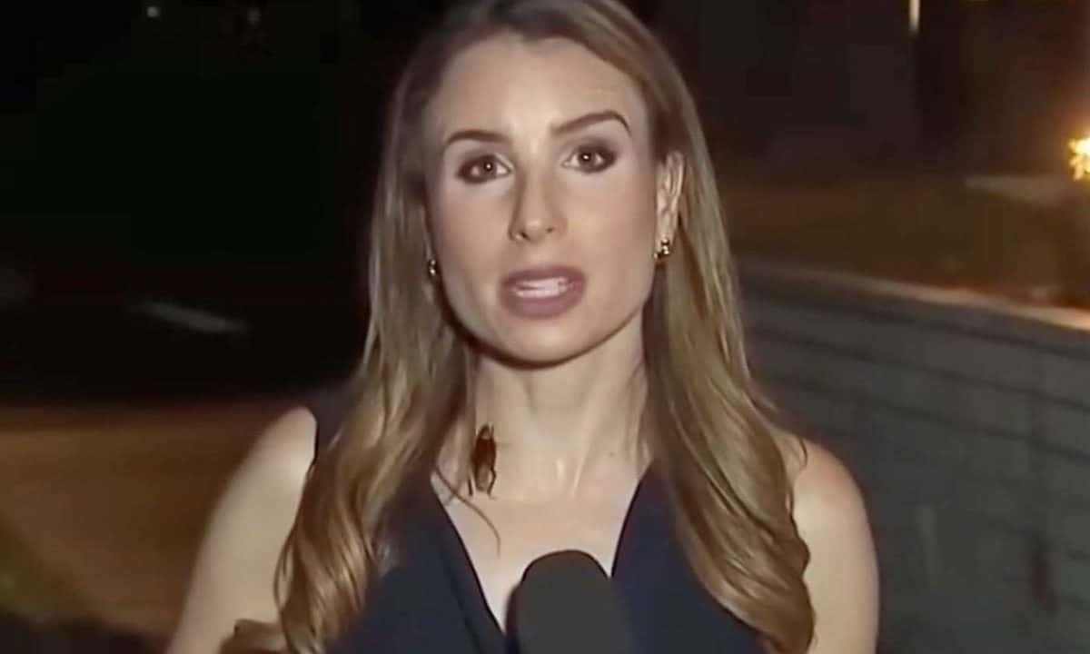 Barata voadora invade cobertura ao vivo de jornalista